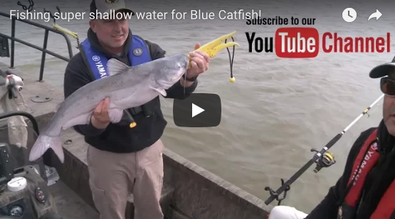 Fishing Super Shallow Water For Blue Catfish!