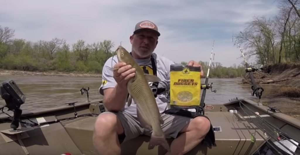 Team Catfish Fiber Nuggets